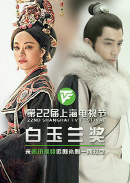 国外生孩子片段海报剧照