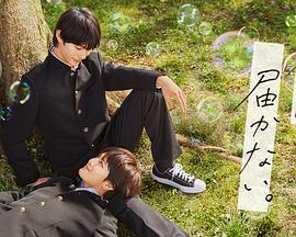 国产黄片剧情海报剧照